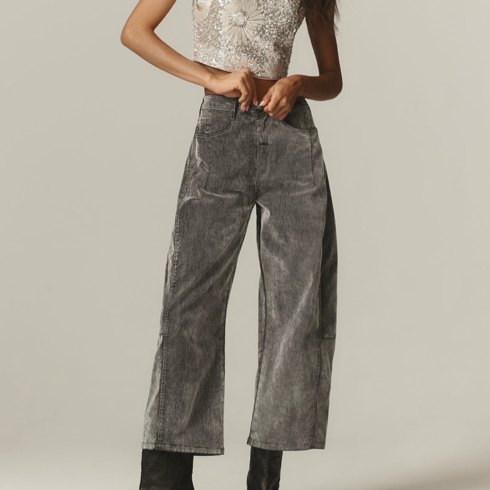 Anthropologie PILCRO The Kenna Mid Rise Heritage Barrel Jeans Velvet Gray 26